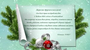 С Новым годом_2018_5